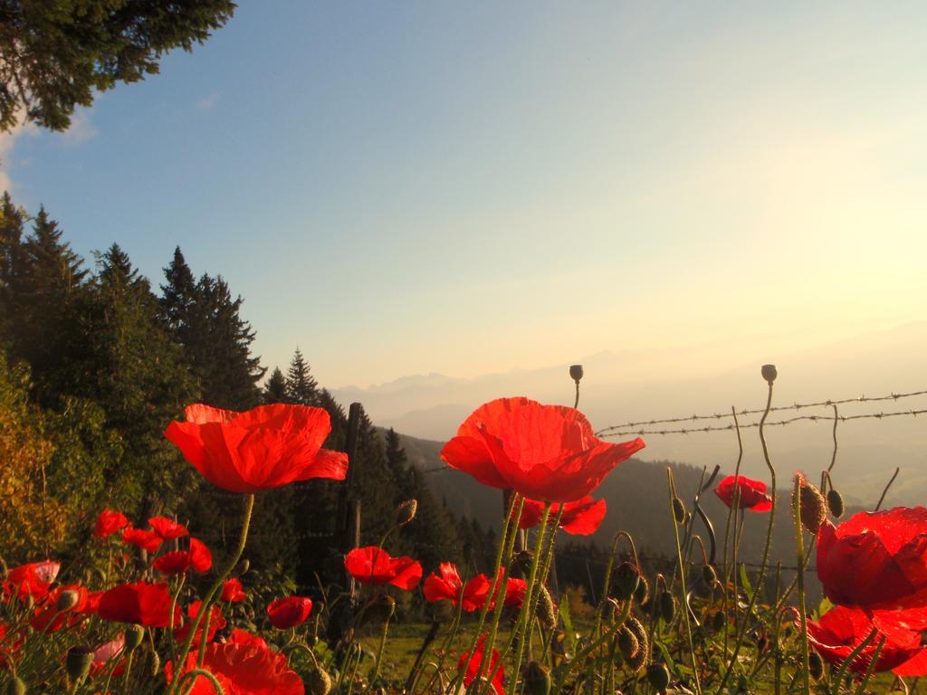 Hotel Garni Gaestehaus Karin 상트스테판 외부 사진
