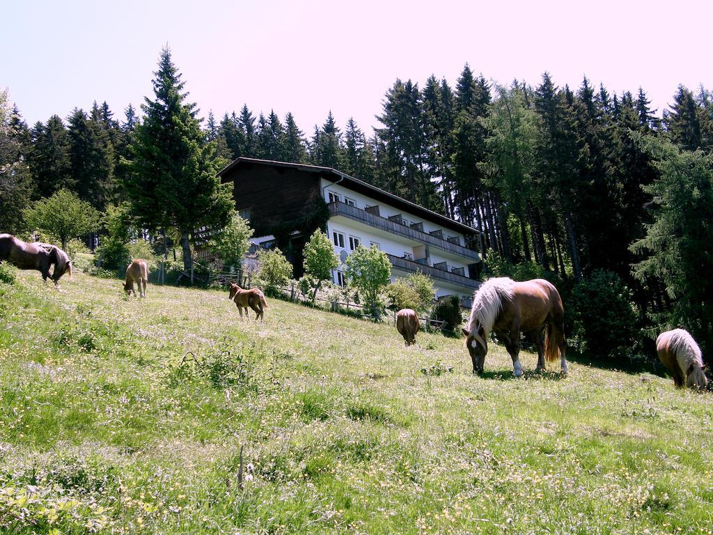 Hotel Garni Gaestehaus Karin 상트스테판 외부 사진